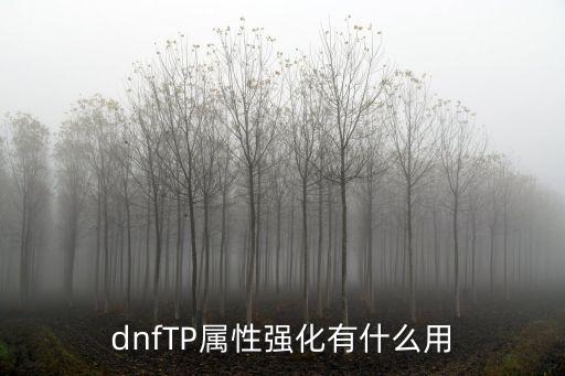 dnfTP属性强化有什么用