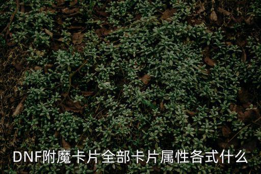 DNF附魔卡片全部卡片属性各式什么