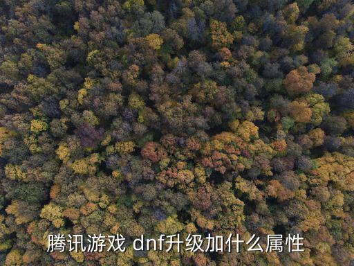 腾讯游戏 dnf升级加什么属性