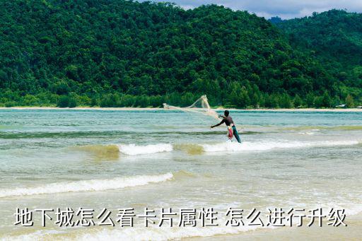 地下城怎么看卡片属性 怎么进行升级