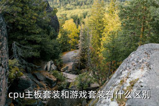 cpu主板套装和游戏套装有什么区别