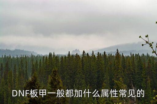 DNF板甲一般都加什么属性常见的