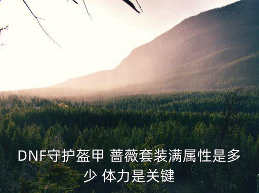 dnf盔甲之力什么属性，DNF守护盔甲 蔷薇套装满属性是多少 体力是关键