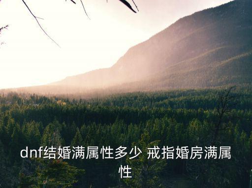 dnf结婚满属性多少 戒指婚房满属性