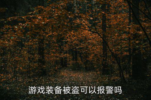 游戏装备被盗可以报警吗