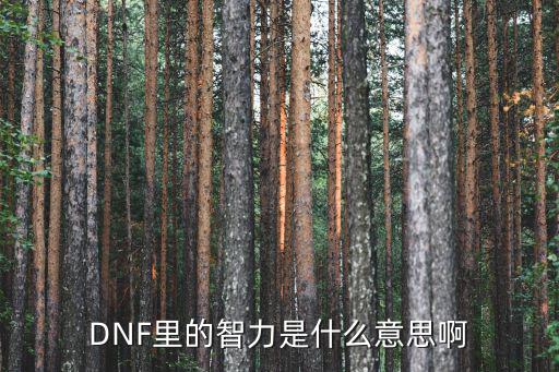 dnf智力是什么属性，DNF智力是什么意思