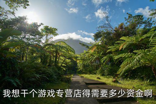 我想干个游戏专营店得需要多少资金啊
