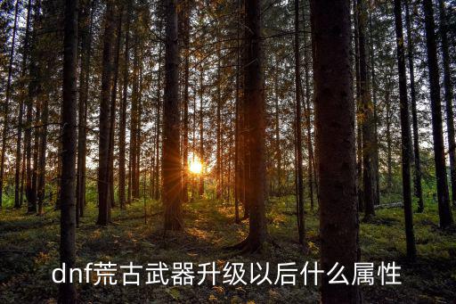 dnf荒古武器升级以后什么属性