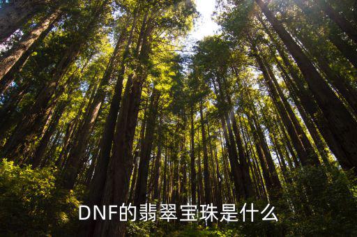 DNF的翡翠宝珠是什么