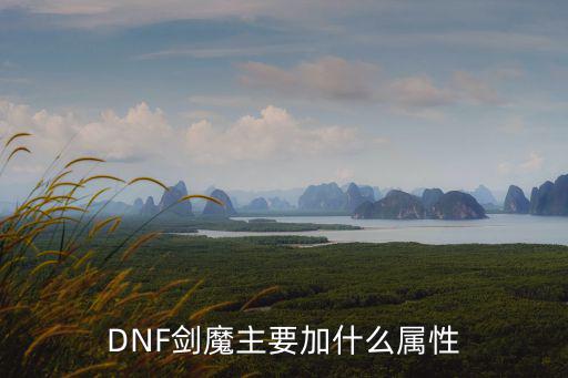 dnf剑魔增幅什么属性，DNF剑魔主要加什么属性