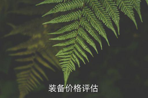 装备价格评估