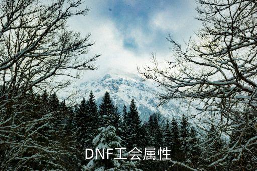 DNF工会属性