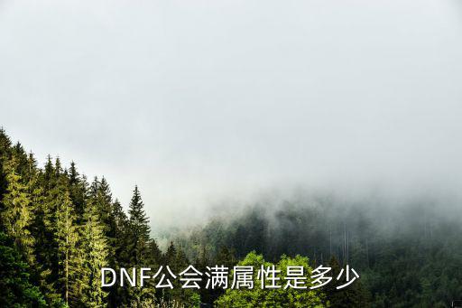 DNF公会满属性是多少