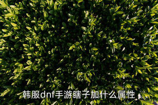 韩服dnf手游瞎子加什么属性