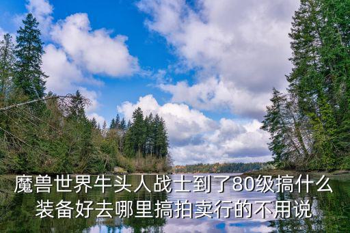 魔兽世界牛头人战士到了80级搞什么装备好去哪里搞拍卖行的不用说