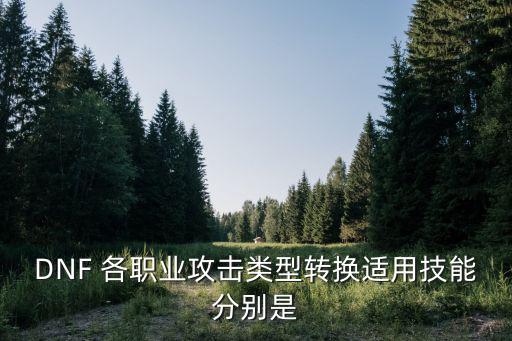 DNF 各职业攻击类型转换适用技能分别是