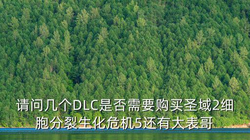 游戏装备搬运工具有哪些，请问几个DLC是否需要购买圣域2细胞分裂生化危机5还有大表哥
