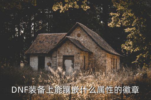 dnf赵云勋章带什么属性，DNF装备上能镶嵌什么属性的徽章