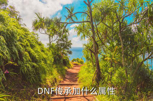 DNF传承加什么属性