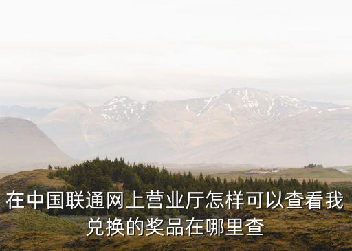 在中国联通网上营业厅怎样可以查看我兑换的奖品在哪里查