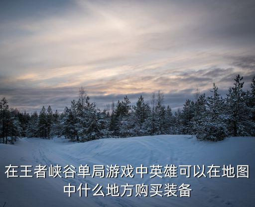 在王者峡谷单局游戏中英雄可以在地图中什么地方购买装备
