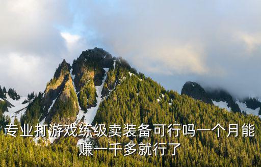 专业打游戏练级卖装备可行吗一个月能赚一千多就行了