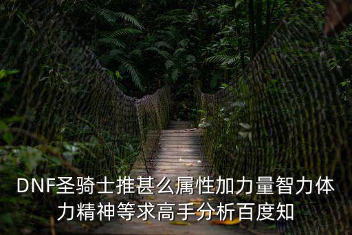 DNF圣骑士推甚么属性加力量智力体力精神等求高手分析百度知