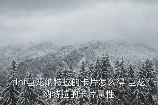 dnf巨龙纳特拉的卡片怎么得 巨龙纳特拉的卡片属性