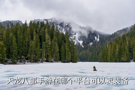 天龙八部游戏装备哪里卖，天龙八部3的装备怎么卖