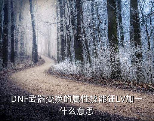 DNF武器变换的属性技能狂LV加一什么意思