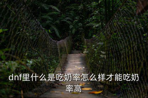 dnf什么属性吃奶率，dnf里有哪些装备属性是吃奶的