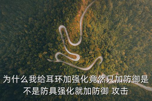 为什么我给耳环加强化竟然只加防御是不是防具强化就加防御 攻击