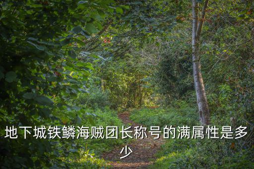 dnf团长是什么属性的，dnf什么叫团长职业
