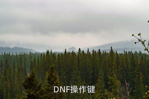 dnf操作属性键是什么，DNF操作键