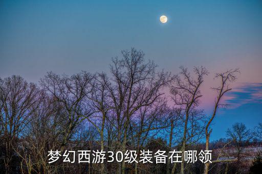 梦幻西游30级装备在哪领
