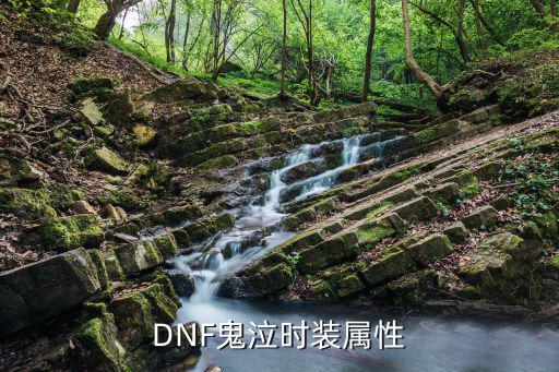 dnf鬼泣衣服什么属性，DNF求鬼泣时装属性选择