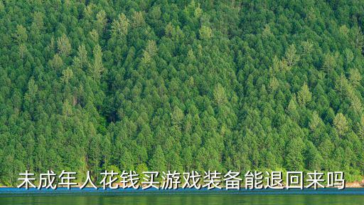 未成年人花钱买游戏装备能退回来吗