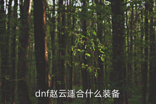 dnf赵云适合什么装备