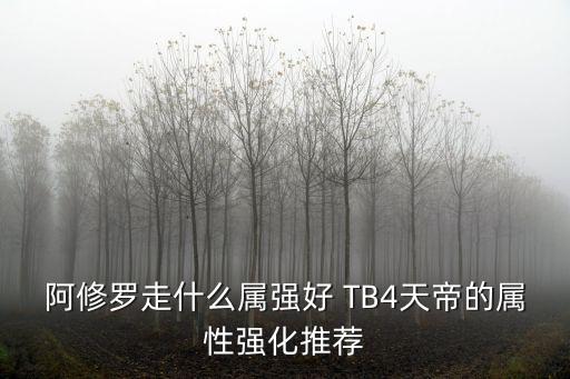 阿修罗走什么属强好 TB4天帝的属性强化推荐