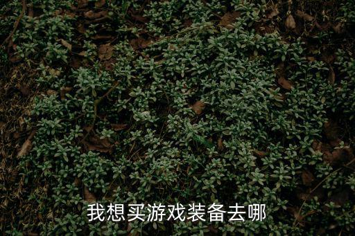 如何在手机上买游戏装备，有卖手游装备的吗在哪儿能买到啊