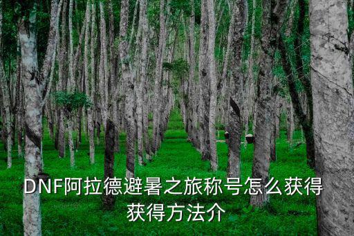 DNF阿拉德避暑之旅称号怎么获得 获得方法介