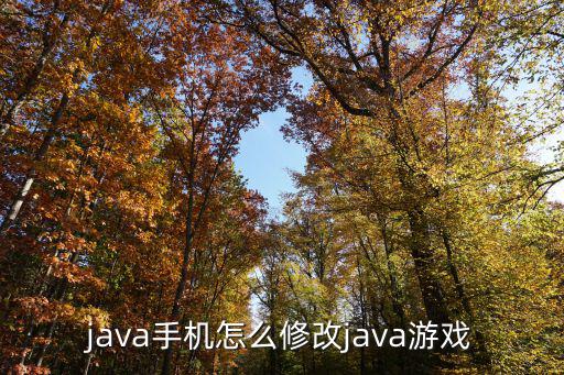 java手机怎么修改java游戏