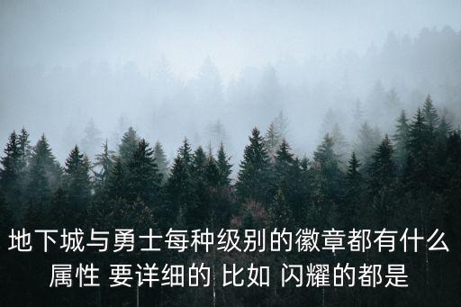 地下城与勇士每种级别的徽章都有什么属性 要详细的 比如 闪耀的都是