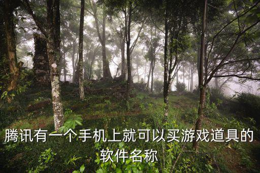 腾讯有一个手机上就可以买游戏道具的软件名称