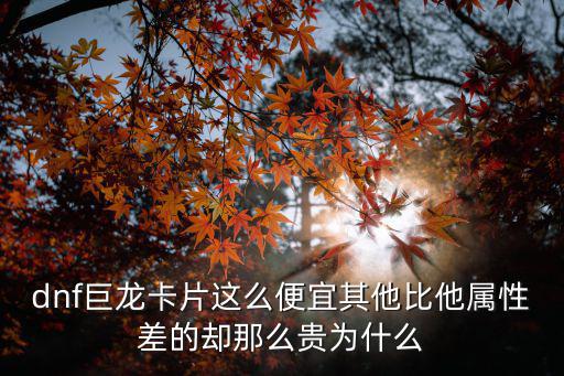 dnf巨龙卡片这么便宜其他比他属性差的却那么贵为什么