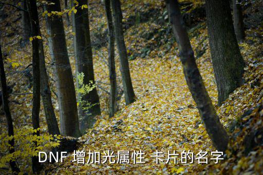 dnf什么卡片变为光属性，DNF 增加光属性 卡片的名字