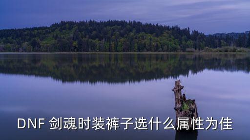 dnf无极裤子选什么属性，DNF 剑魂时装裤子选什么属性为佳