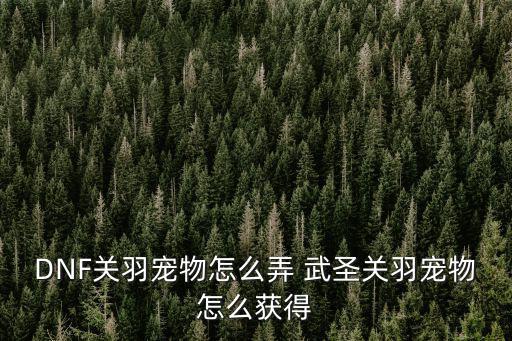 dnf关羽强化什么属性，DNF2016春节宠物选哪个 刘备关羽和张飞哪个好