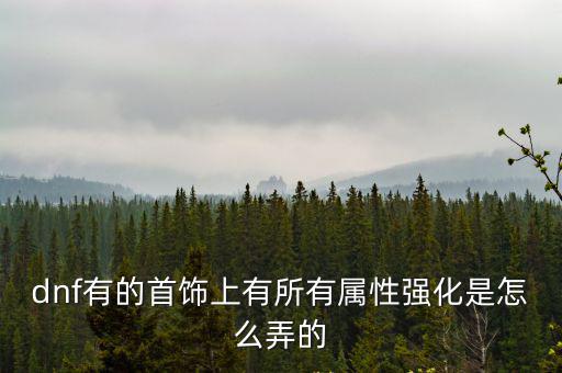 dnf有的首饰上有所有属性强化是怎么弄的
