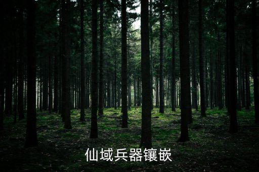 仙域兵器镶嵌